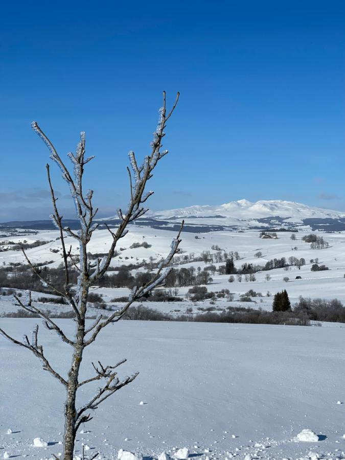 Auberge Du Cezallier Montgreleix Екстериор снимка