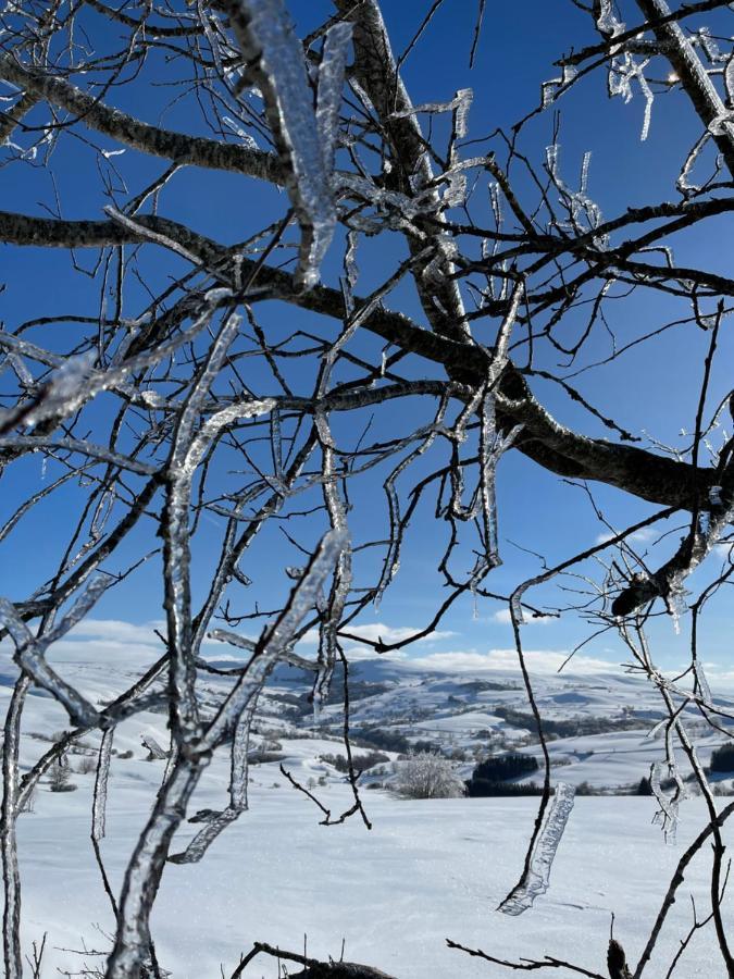 Auberge Du Cezallier Montgreleix Екстериор снимка